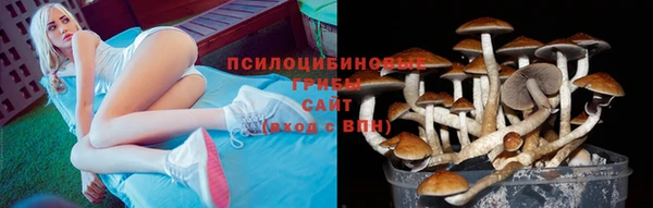 spice Баксан
